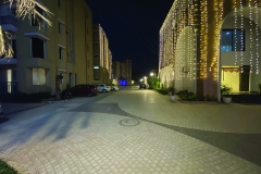 Nighttime image of a wide, well-lit society road with modern street lighting and peaceful ambiance.