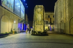 Main society entrance at night with elegant lighting and modern design