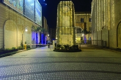 Main society entrance at night with elegant lighting and modern design