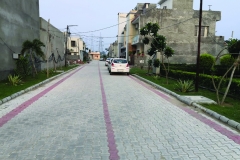 Spacious and Clean Residential Road